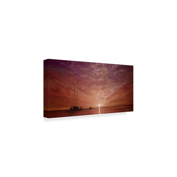 Cherie Roe Dirksen 'Purple Sunset Boating' Canvas Art,10x19